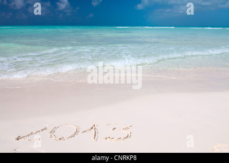 Année 2013 écrit à la main sur le sable blanc en face de la mer Banque D'Images