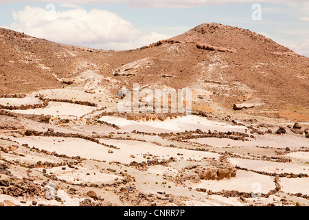 Terrasses sur le terrain au-dessus d'un village berbère dans l'Anti Atlas montagnes du Maroc, l'Afrique du Nord. Banque D'Images