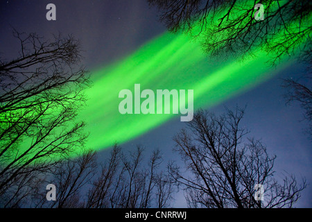 Aurora Borealis, Norvège, Troms, Tromsoe Banque D'Images