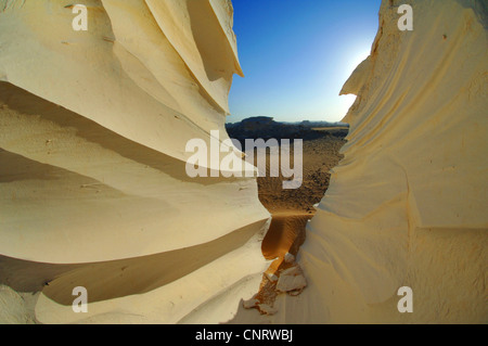 La formation de pierre de chaux en disert, l'Égypte, du paysage du Parc National du Désert blanc Banque D'Images