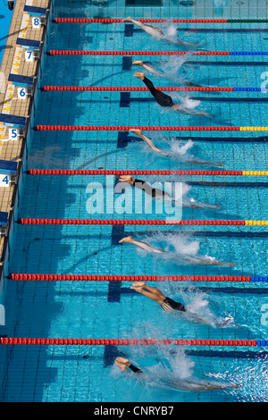 Début de course natation hommes. Banque D'Images