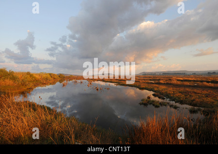 Matin nuages Paysage avec miroir dans l'eau d'une lagune de Gialova, Grèce, Péloponnèse, lagune de Gialova Banque D'Images