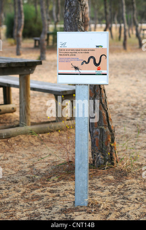 Snub-nosed Viper, le viper Lataste (Vipera latastei), de l'information signe dans le Parc National de Doñana, en Espagne, en Andalousie, le Parc National de Donana, El Rocio Banque D'Images