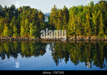 Une île très boisée, sur la côte de la Suède au milieu des îles de l'archipel de Stockholm vu de la mer Baltique. Banque D'Images