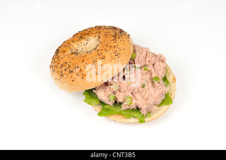 Sandwich à la salade de thon sur un bagel tout ensemencé Banque D'Images