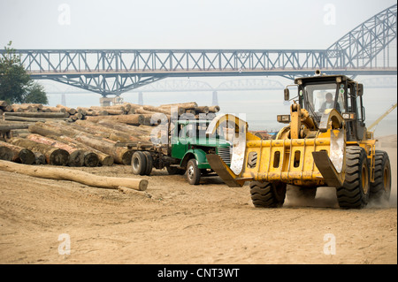 Chargement de grumes de teck sur des camions à Mandalay, Myanmar Birmanie Banque D'Images