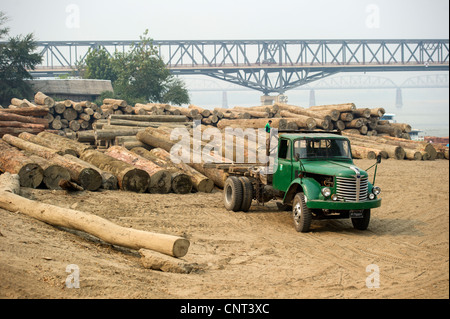 Chargement de grumes de teck sur des camions à Mandalay, Myanmar Birmanie Banque D'Images