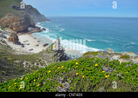 Dias Beach et Cape Point, Afrique du Sud, Afrique du Sud, à l'Ouest Le Cap, Le Cap de Bonne Espérance Banque D'Images