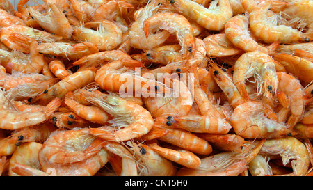 Les crevettes sur un marché, l'Espagne, Baléares, Majorque, Alcudia Banque D'Images