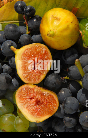 Les raisins et figues, Allemagne, Rhénanie-Palatinat Banque D'Images