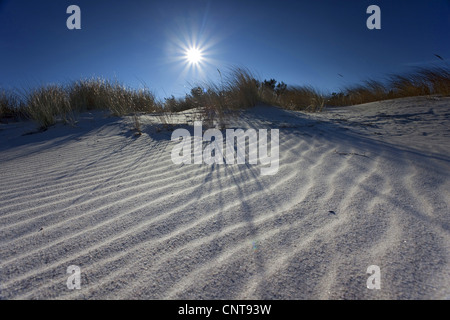 Les ondulations de sable à la plage au début de la lumière du soleil, de l'Allemagne, de Mecklembourg-Poméranie-Occidentale, de la mer Baltique Banque D'Images