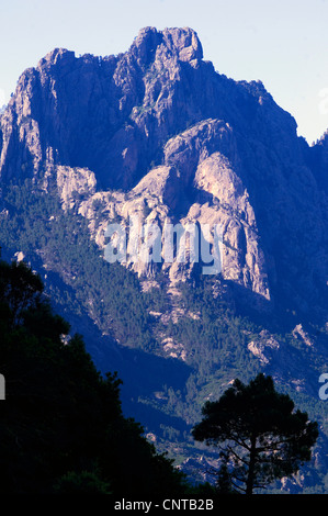 Haut de montagne ensoleillée le Massif de Bavella au sud de l'île, France, Corse, Corse-du-Sud Banque D'Images