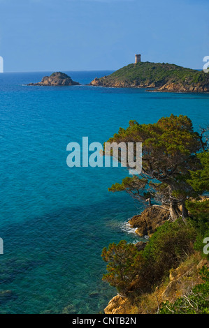 Vieille tour 'Torra di Fautea' à Fautea, vestige de l'occupation génoise de l'île, France, Corse-du-Sud, Zonza Banque D'Images