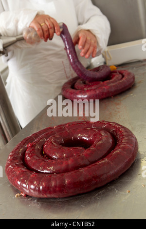 Man making boudin noir, cropped Banque D'Images