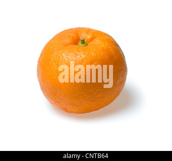 Les oranges de Séville Banque D'Images