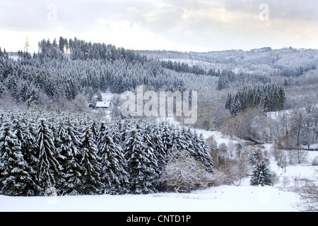 Bâtiment résidentiel unique dans une forêt couverte de neige et paysage de prairie, en Allemagne, en Rhénanie-Palatinat, dans l'Niederfischbach Banque D'Images