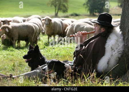Le mouton domestique (Ovis ammon f. bélier), berger avec troupeau de moutons et de berger à l'enregistreur, l'Allemagne, la Saxe Banque D'Images