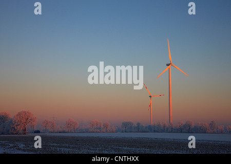 Matin d'hiver dans la région de Münster, Allemagne avec les roues du vent, Rhénanie du Nord-Westphalie, Steinfurt Banque D'Images