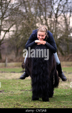 Poney Shetland (Equus caballus przewalskii. f), girl à l'envers sur un poney, Allemagne Banque D'Images