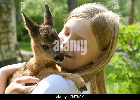 Le chevreuil (Capreolus capreolus), femme avec un faon sur ses bras, Allemagne Banque D'Images