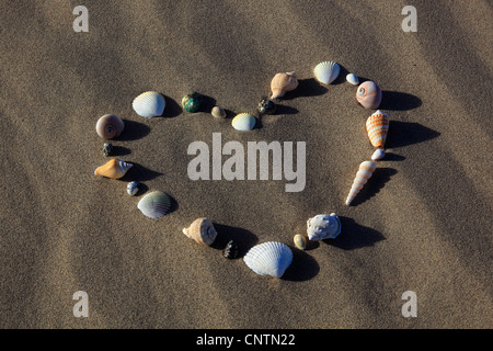 Coeur de coquillages dans le sable, USA, Californie, Death Valley NP, Mesquite Sand Dunes Appartements Banque D'Images
