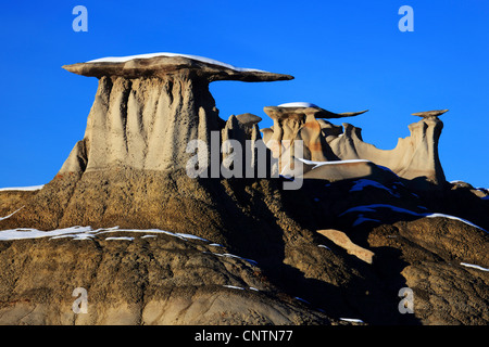 Bisti Badlands, monolithe de grès, USA, New Mexico, Bisti Wilderness Banque D'Images