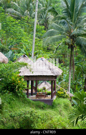 Une belle balle, ou un refuge tropical, trouvés dans les rizières en terrasses de Tegallalang, Bali, Indonésie. Banque D'Images