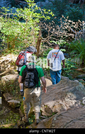 Les touristes et les guide dans le Canyon des makis, une verte dans le canyon sec-normalement Parc National d'Isalo, Madagascar. Banque D'Images