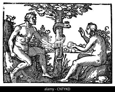 Religion, scènes bibliques, Adam et Eve, coupe de bois de Hans Sebald Beham, 'Biblicae historiae', 1537, droits additionnels-Clearences-non disponible Banque D'Images