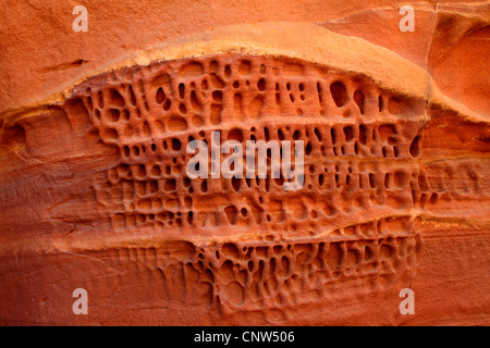 Dans des formations de grès Canyon coloré, l'Egypte, le Sinaï Banque D'Images