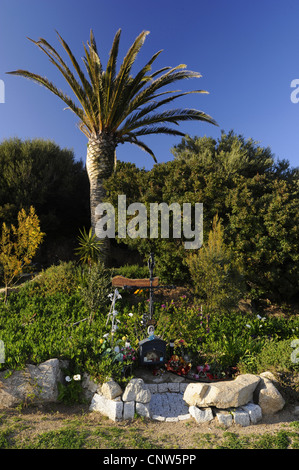 Palmier dattier (Phoenix dactylifera), lieu saint sur la Sardaigne, Italie, Sardaigne, Olbia Banque D'Images