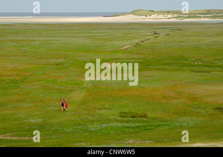 Dunes de la zone de conservation de Slutter, family walking on salt marsh, Pays-Bas, Texel Banque D'Images