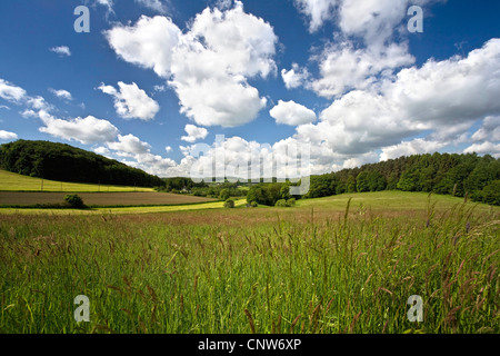 Paysage idyllique dans la région du Bergisches Land près de Sprockhoevel, Allemagne, Rhénanie du Nord-Westphalie Banque D'Images