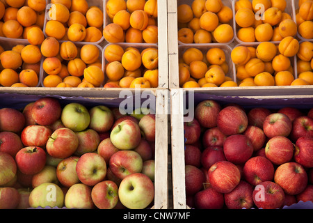 Caisses de fruits pour la vente Banque D'Images