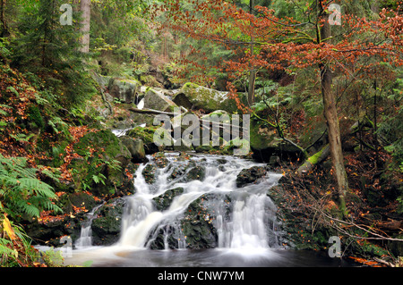 Dans la vallée du ruisseau sauvage Ilse, Ilsetal, Allemagne, la Saxe-Anhalt, Parc National Hochharz Banque D'Images