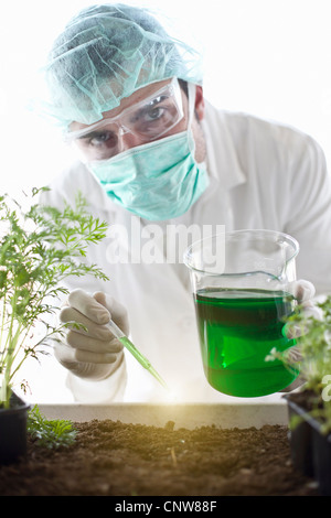 Scientist dropping liquid sur les plantes Banque D'Images