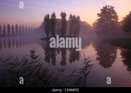 Vue de Rousseau insula de Dessau-Woerlitz Royaume dans le jardin de l'humeur du matin, l'Allemagne, la Saxe-Anhalt Banque D'Images