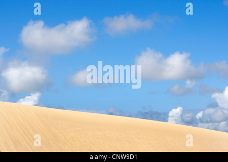 Dune errance à Liste, Allemagne, Sylt, liste Banque D'Images