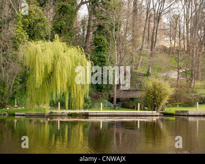 Bateau maison pittoresque et landing stage par un saule pleureur avec réflexions sur la Tamise, Oxfordshire, UK Banque D'Images