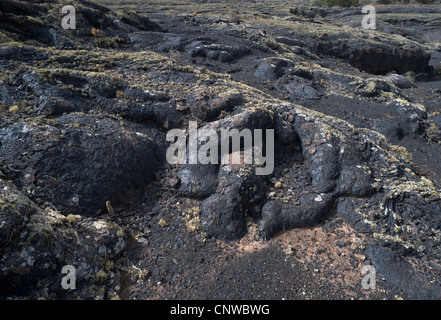 Détail de lichen-couverts pahoehoe ou ropy lava près de Masdache, Lanzarote, îles Canaries, Espagne Banque D'Images