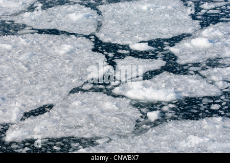 Blocs de glace, l'Antarctique, Neko Cove Harbour Banque D'Images