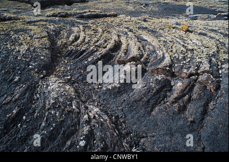 Détail de la pahoehoe vésiculaire couverte de lichen ou de la lave basaltique ropie près de Masdache, Lanzarote, îles Canaries, Espagne Banque D'Images