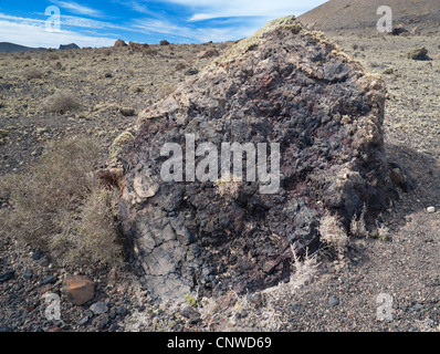 Grande bombe volcanique basaltique de lave vésiculeuse suite à une éruption explosive de Montaña Colorada, Lanzarote, îles Canaries, Espagne Banque D'Images