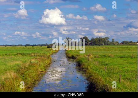 Riverside pâturages avec canal de drainage, l'ALLEMAGNE, Basse-Saxe, Ritterhude Banque D'Images