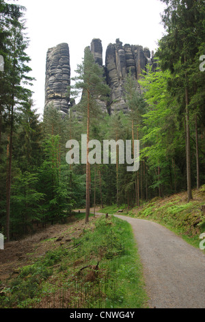 À l'Affensteine montagnes de grès de l'Elbe, en Allemagne, en Saxe, Saechsische Schweiz Nationalpark Banque D'Images