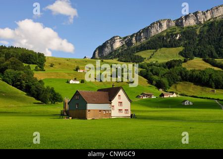 Maison de ferme et de verts pâturages, l'Alpstein de montagnes en arrière-plan, la Suisse, canton Appenzell Banque D'Images