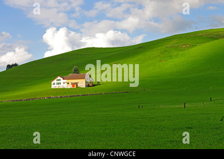 Maison de ferme et de verts pâturages, Suisse, canton Appenzell Banque D'Images