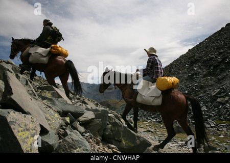 Randonnées à cheval dans les montagnes de l'Altaï, en Russie. Chevaux d'escalade vers le col Caraturek (3 060 m). Banque D'Images