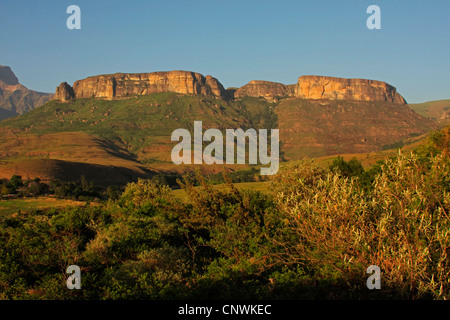 Monk's Cowl, Drakensberg, Afrique du Sud, Johannesburg, le parc Ukhahlamba Drakenberg Banque D'Images