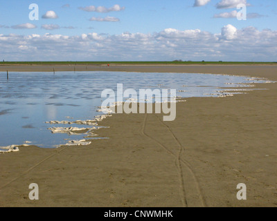 De l'eau transportant mousse est en marche jusqu'à la plage de sable fin à l'inondation, l'Allemagne, Mer du Nord Banque D'Images